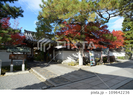 秋の妙心寺 退蔵院 京都市右京区花園 秋の妙心寺 退蔵院 京都市右京区花園 109642236