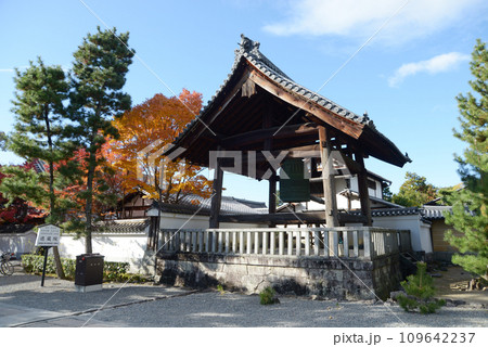 秋の妙心寺 鐘楼 京都市右京区花園 秋の妙心寺 鐘楼 京都市右京区花園 109642237