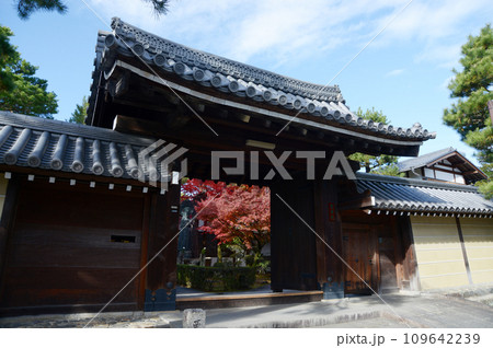 秋の妙心寺　霊雲院山門　京都市右京区花園 109642239