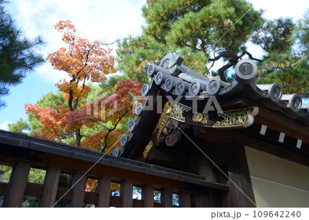 秋の妙心寺　霊雲院土塀　京都市右京区花園 109642240