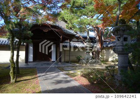 秋の妙心寺 霊雲院境内 京都市右京区花園 秋の妙心寺 霊雲院境内 京都市右京区花園 109642241
