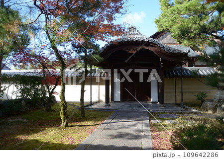 秋の妙心寺 霊雲院境内 京都市右京区花園 秋の妙心寺 霊雲院境内 京都市右京区花園 109642286
