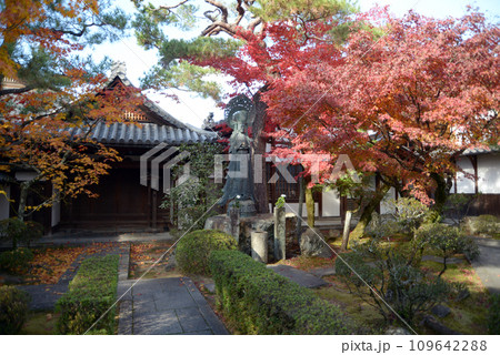 秋の妙心寺　霊雲院境内　京都市右京区花園 109642288
