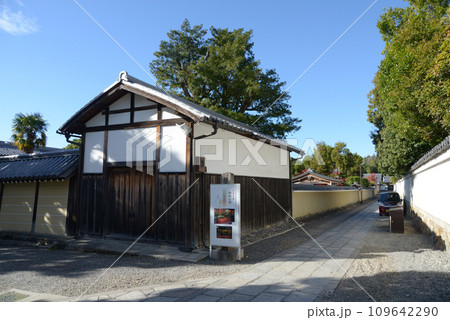 秋の妙心寺　大法院・玉龍院への参道　京都市右京区花園 109642290