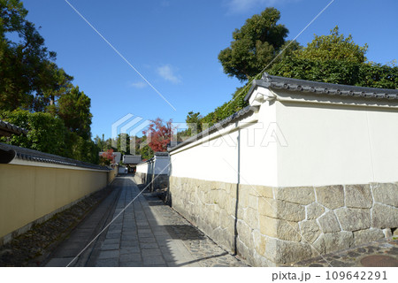 秋の妙心寺 大龍院の白塀 京都市右京区花園 秋の妙心寺 大龍院の白塀 京都市右京区花園 109642291