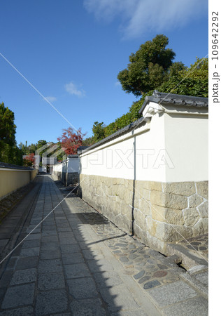 秋の妙心寺　大龍院の白塀　京都市右京区花園 109642292