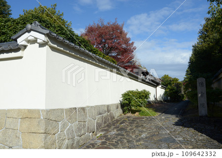 秋の妙心寺　徳雲院への参道　京都市右京区花園 109642332