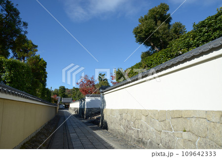 秋の妙心寺　大龍院の白塀　京都市右京区花園 109642333