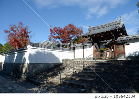 秋の妙心寺　大龍院山門　京都市右京区花園 109642334