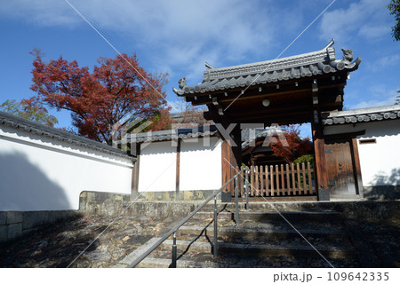 秋の妙心寺 大龍院山門 京都市右京区花園 秋の妙心寺 大龍院山門 京都市右京区花園 109642335