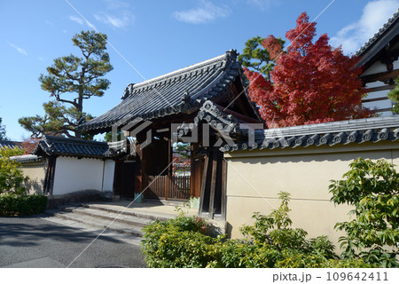 秋の妙心寺　玉龍院山門　京都市右京区花園 109642411