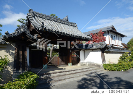 秋の妙心寺 玉龍院山門 京都市右京区花園 秋の妙心寺 玉龍院山門 京都市右京区花園 109642414