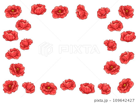 Frame with poppies flowers. Beautiful decorative plants. 109642427