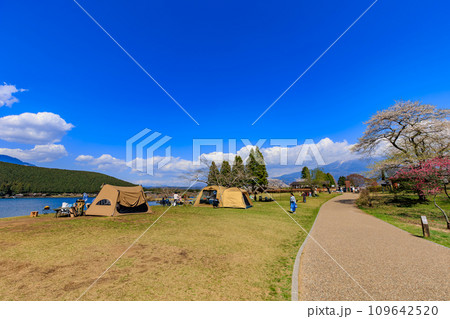 静岡県 富士宮市 春の田貫湖キャンプ場 静岡県 富士宮市 春の田貫湖キャンプ場 109642520