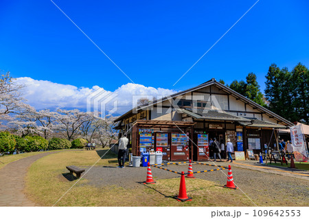 静岡県　富士宮市　春の田貫湖キャンプ場 109642553