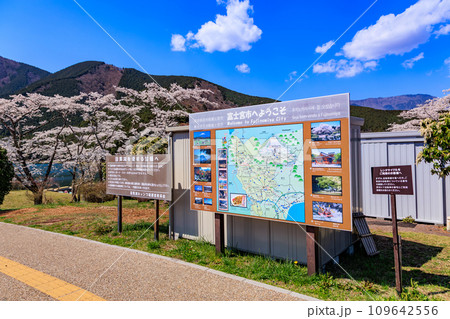 静岡県　富士宮市　春の田貫湖キャンプ場 109642556