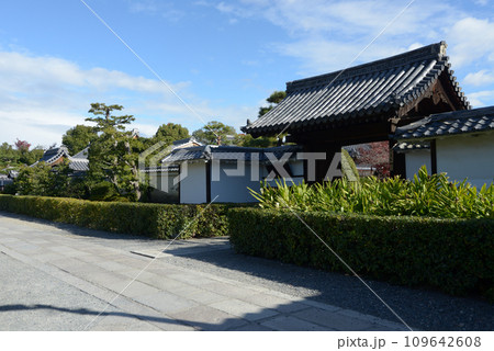 秋の妙心寺　大通院山門　京都市右京区花園 109642608