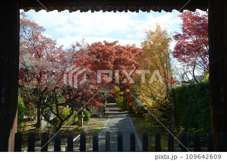 秋の妙心寺　大通院　山門より境内を望む　京都市右京区花園 109642609