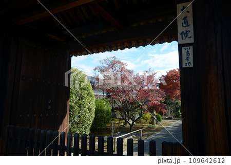 秋の妙心寺　大通院山門　京都市右京区花園 109642612