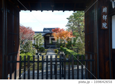 秋の妙心寺　麟祥院　山門より境内を望む　京都市右京区花園 109642658