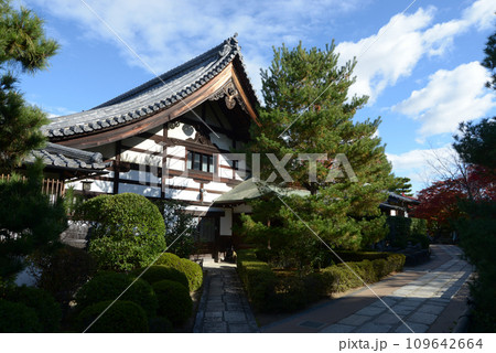 秋の妙心寺　智勝院　京都市右京区花園 109642664