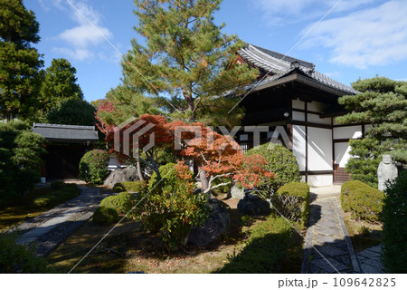 秋の妙心寺 天祥院境内 京都市右京区花園 秋の妙心寺 天祥院境内 京都市右京区花園 109642825