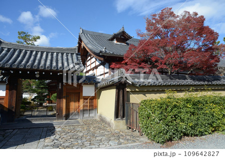 秋の妙心寺 金牛院 京都市右京区花園 秋の妙心寺 金牛院 京都市右京区花園 109642827