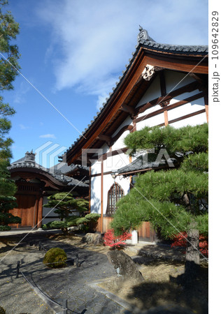 秋の妙心寺　金牛院　京都市右京区花園 109642829