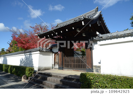 秋の妙心寺　蟠桃院の山門　京都市右京区花園 109642925