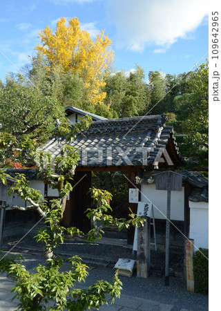 秋の妙心寺 桂春院の山門 京都市右京区花園 秋の妙心寺 桂春院の山門 京都市右京区花園 109642965