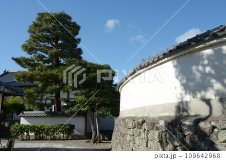 秋の妙心寺　曲線の白塀　京都市右京区花園 109642968
