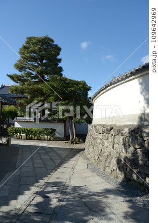 秋の妙心寺 曲線の白塀 京都市右京区花園 秋の妙心寺 曲線の白塀 京都市右京区花園 109642969