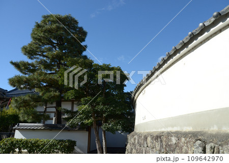 秋の妙心寺　曲線の白塀　京都市右京区花園 109642970