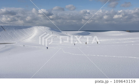 鳥取砂丘の雪景色  109643159