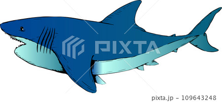 ジャンプする手書きのホホジロザメのイラスト 109643248