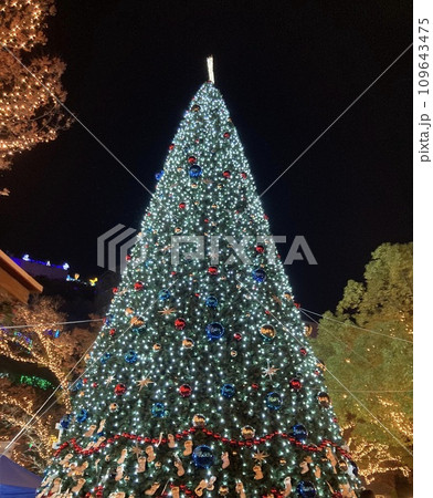 2023年の天神クリスマスマーケット 109643475