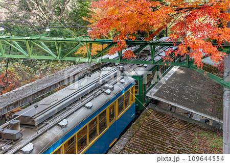 箱根登山電車と紅葉【大平台駅】旧型車両【神奈川県】 箱根登山電車と紅葉【大平台駅】旧型車両【神奈川県】 109644554