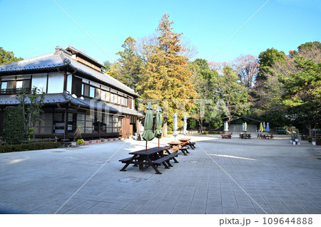 べに花ふるさと館　母屋　中庭　桶川市 109644888