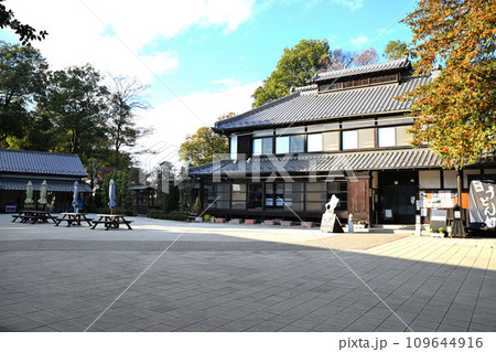 べに花ふるさと館 母屋 中庭 桶川市 べに花ふるさと館 母屋 中庭 桶川市 109644916