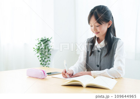 勉強　宿題　女の子 109644965