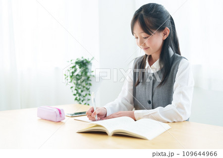勉強　宿題　女の子 109644966