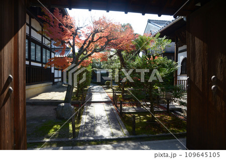 秋の東福寺 退耕庵の境内 京都市東山区 秋の東福寺 退耕庵の境内 京都市東山区 109645105
