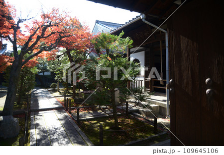 秋の東福寺　退耕庵の境内　京都市東山区 109645106