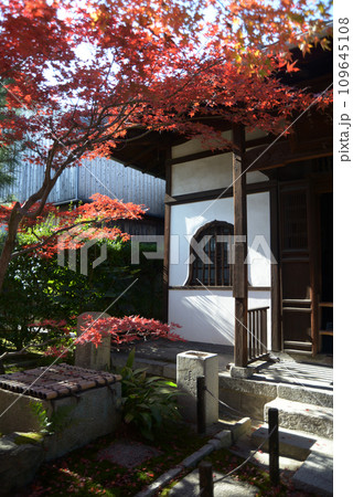 秋の東福寺 退耕庵の境内 京都市東山区 秋の東福寺 退耕庵の境内 京都市東山区 109645108