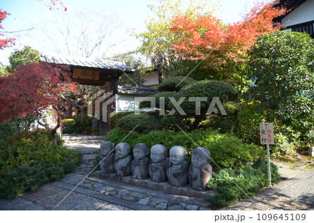 秋の東福寺　霊源院の境内　京都市東山区 109645109