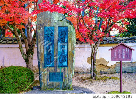 酬恩庵一休寺の紅葉 酬恩庵一休寺の紅葉 109645195