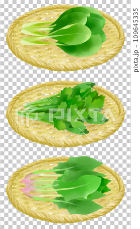 漏勺上的菠菜、小松菜和春菊的插圖集 109645335