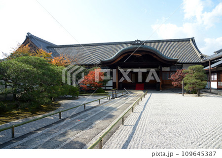 秋の東寺　寺務所　京都市南区 109645387