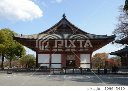 秋の東寺　講堂　京都市南区 109645410