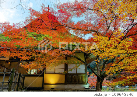 紅葉に包まれた茶屋 紅葉に包まれた茶屋 109645546